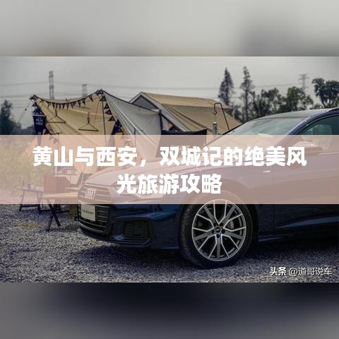 鸷鸟不群