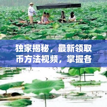 独家揭秘，最新领取币方法视频，掌握各类平台策略一网打尽！