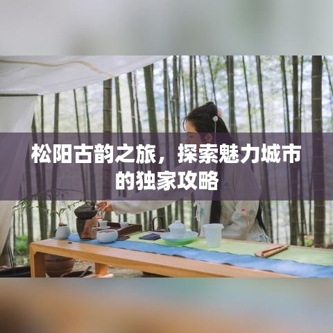 松阳古韵之旅，探索魅力城市的独家攻略