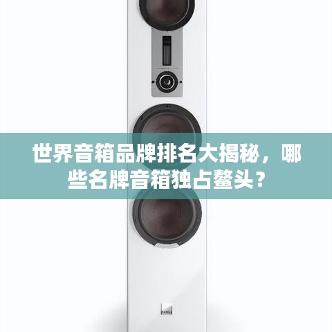 世界音箱品牌排名大揭秘，哪些名牌音箱独占鳌头？