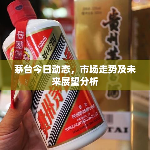 茅台今日动态，市场走势及未来展望分析