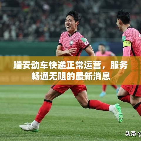 瑞安动车快递正常运营，服务畅通无阻的最新消息