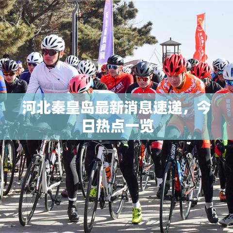河北秦皇岛最新消息速递，今日热点一览