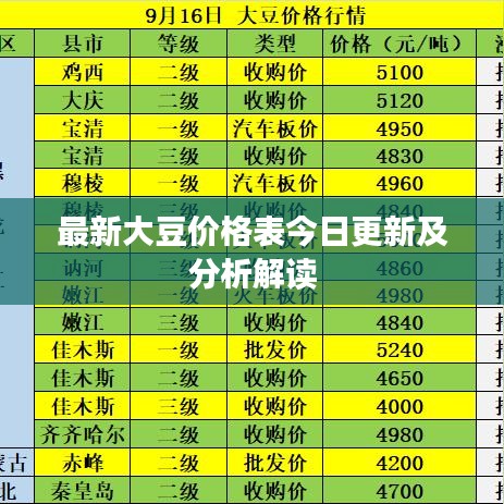 最新大豆价格表今日更新及分析解读