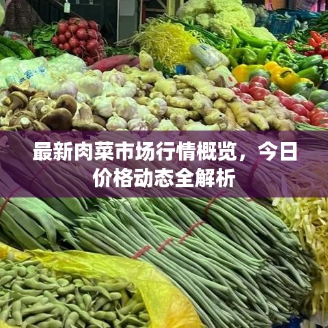 最新肉菜市场行情概览，今日价格动态全解析