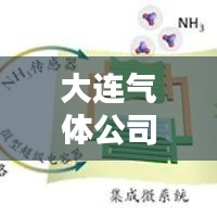 大连气体公司排名揭晓，行业影响力深度解析
