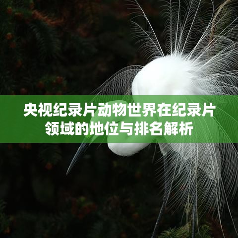 央视纪录片动物世界在纪录片领域的地位与排名解析