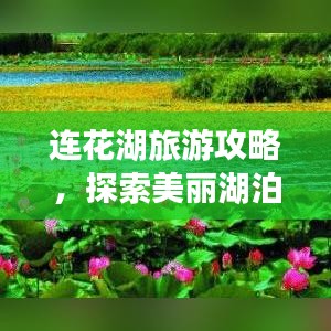 连花湖旅游攻略，探索美丽湖泊的自然风光与人文魅力