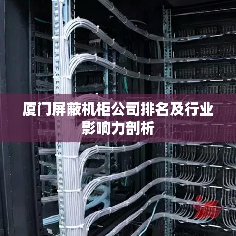 厦门屏蔽机柜公司排名及行业影响力剖析