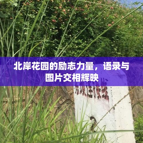 北岸花园的励志力量，语录与图片交相辉映