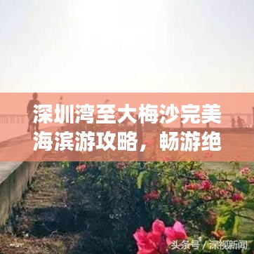 深圳湾至大梅沙完美海滨游攻略，畅游绝佳路线揭秘！