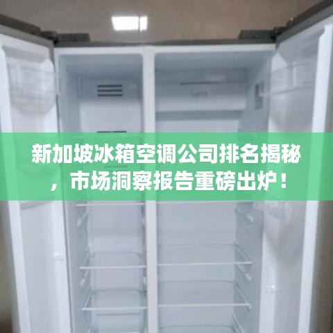 无影无踪