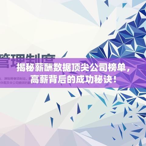 揭秘薪酬数据顶尖公司榜单，高薪背后的成功秘诀！