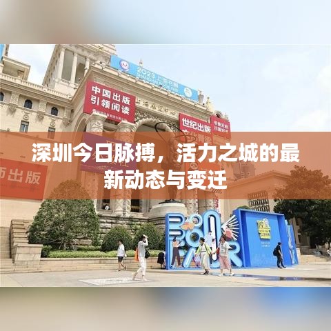 深圳今日脉搏，活力之城的最新动态与变迁