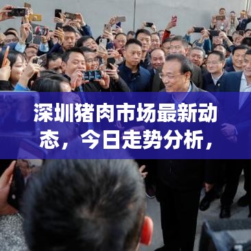 深圳猪肉市场最新动态，今日走势分析，消费者反应关注热议
