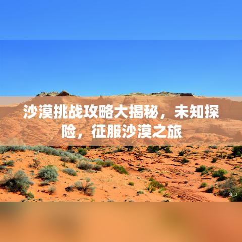 沙漠挑战攻略大揭秘，未知探险，征服沙漠之旅