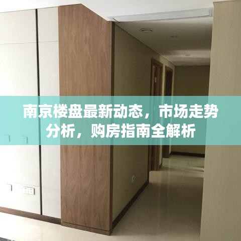 南京楼盘最新动态，市场走势分析，购房指南全解析