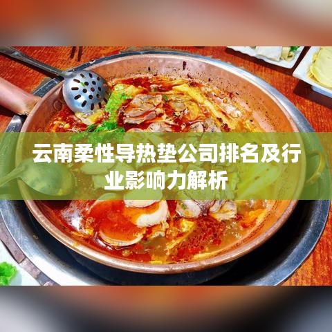 云南柔性导热垫公司排名及行业影响力解析