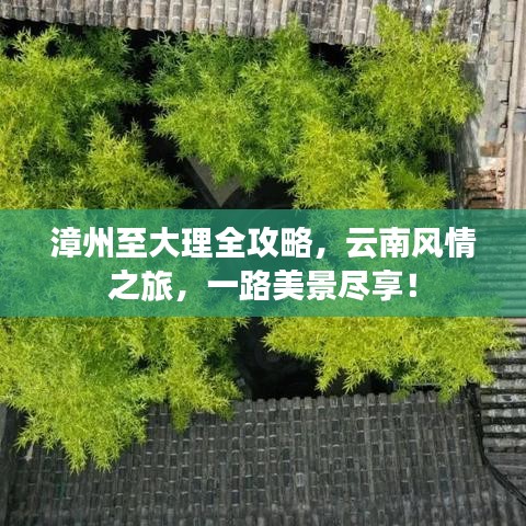 漳州至大理全攻略，云南风情之旅，一路美景尽享！