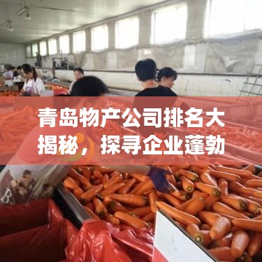 青岛物产公司排名大揭秘，探寻企业蓬勃发展之路