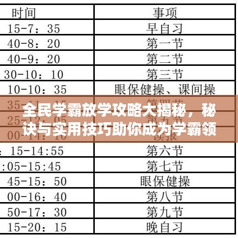 全民学霸放学攻略大揭秘，秘诀与实用技巧助你成为学霸领袖！