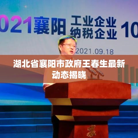 湖北省襄阳市政府王春生最新动态揭晓