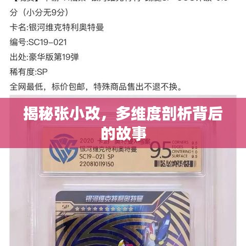 揭秘张小改，多维度剖析背后的故事
