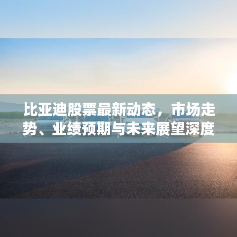 比亚迪股票最新动态，市场走势、业绩预期与未来展望深度解析