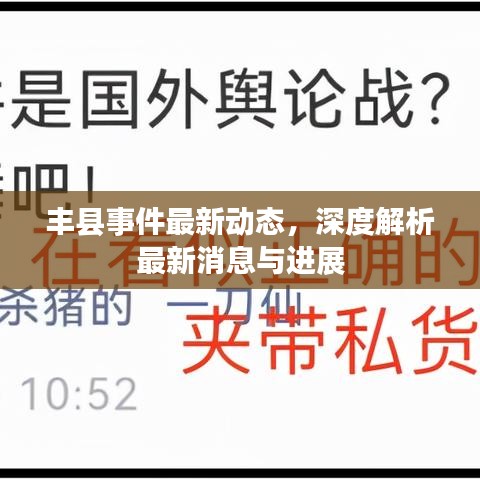 丰县事件最新动态，深度解析最新消息与进展