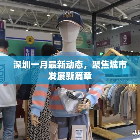 深圳一月最新动态，聚焦城市发展新篇章