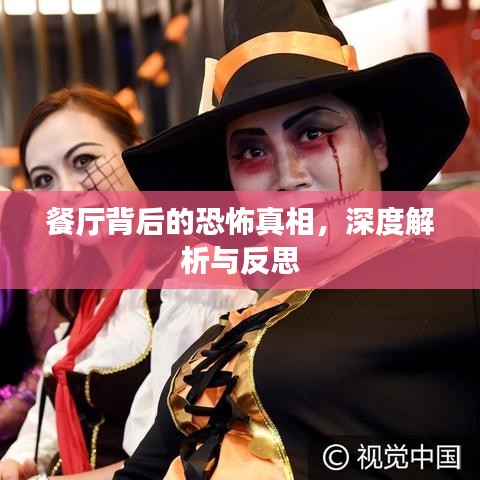 餐厅背后的恐怖真相，深度解析与反思