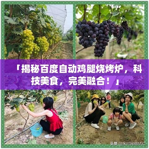 「揭秘百度自动鸡腿烧烤炉，科技美食，完美融合！」