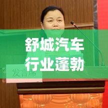 舒城汽车行业蓬勃发展，最新新闻头条速递