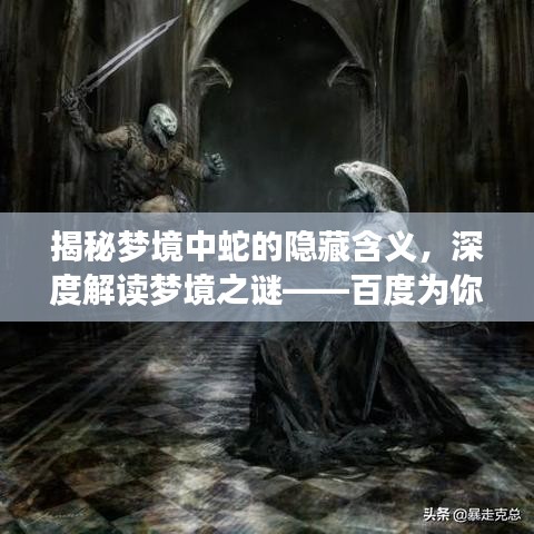 揭秘梦境中蛇的隐藏含义，深度解读梦境之谜——百度为你解析
