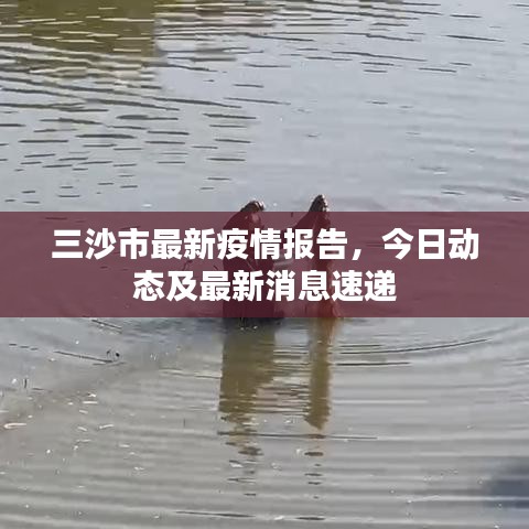 三沙市最新疫情报告，今日动态及最新消息速递