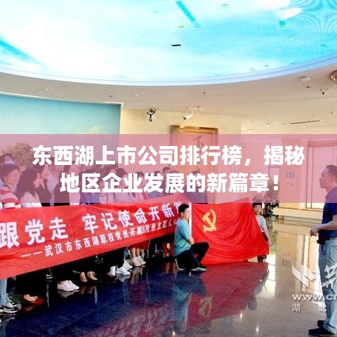 东西湖上市公司排行榜，揭秘地区企业发展的新篇章！