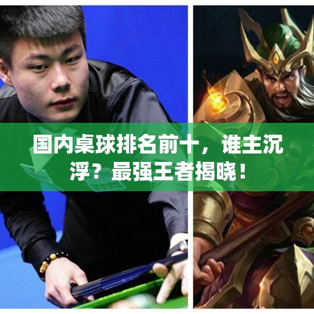 国内桌球排名前十，谁主沉浮？最强王者揭晓！