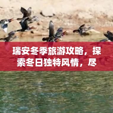 瑞安冬季旅游攻略，探索冬日独特风情，尽享别样魅力！