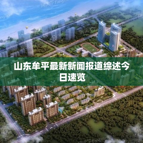 山东牟平最新新闻报道综述今日速览