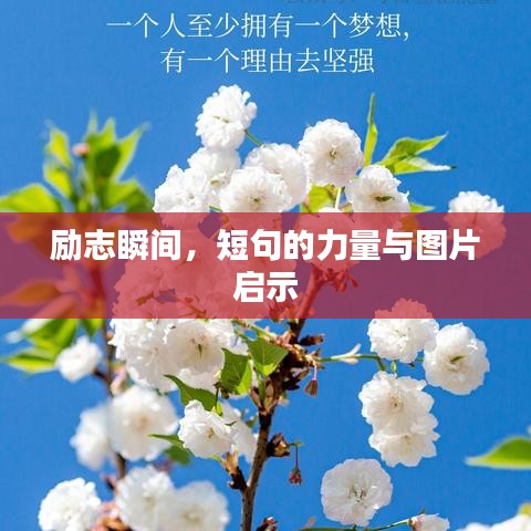 励志瞬间，短句的力量与图片启示