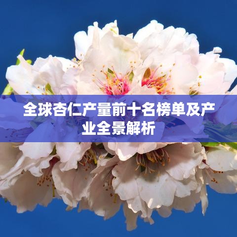 全球杏仁产量前十名榜单及产业全景解析