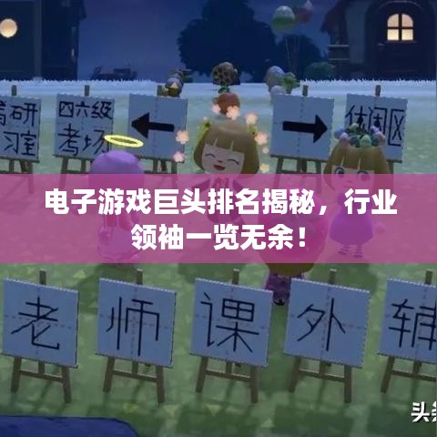 电子游戏巨头排名揭秘，行业领袖一览无余！