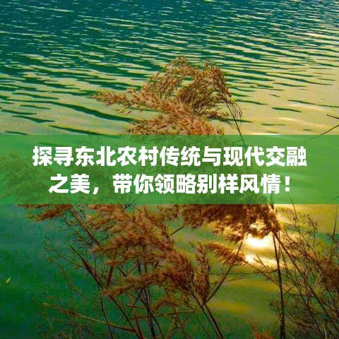 探寻东北农村传统与现代交融之美，带你领略别样风情！