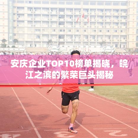 安庆企业TOP10榜单揭晓，皖江之滨的繁荣巨头揭秘