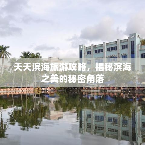 天天滨海旅游攻略，揭秘滨海之美的秘密角落