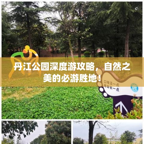 丹江公园深度游攻略，自然之美的必游胜地！