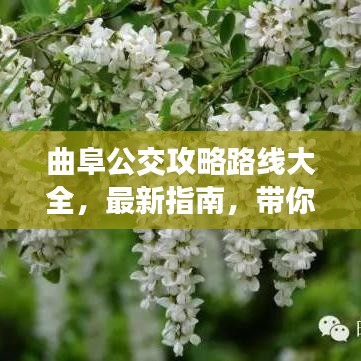 曲阜公交攻略路线大全，最新指南，带你轻松出行！