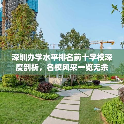 深圳办学水平排名前十学校深度剖析，名校风采一览无余