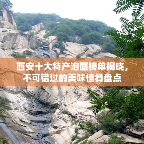 2025年4月 第8页