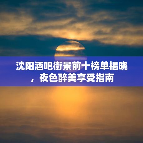沈阳酒吧街景前十榜单揭晓，夜色醉美享受指南